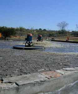 Dairy washdown effluent processing