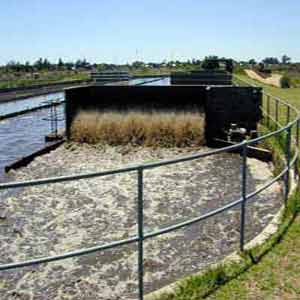 Organic waste and sewage bioaugmentation. Environmental Biotechnology at work